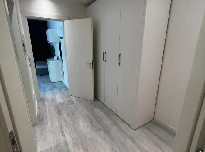 Ardea ריצ'יונה